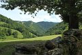 (184) Vers la source de la Bidouze
